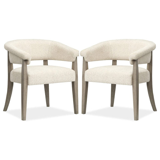 Magnussen - Braelyn Dorian Grey Upholstered Host Chair Two Pack - D5874-76 view 1