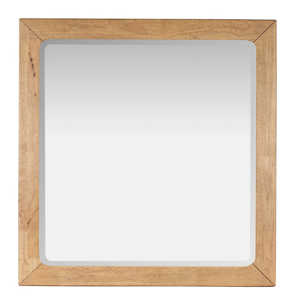 Magnussen - Davenport Rustic Caramel Double Drawer Dresser With Portrait Mirror - B6309-2242 view 9