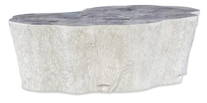 Margaritaville - Copper Matrix Coffee Table - MV-5964-80410-00 view 3