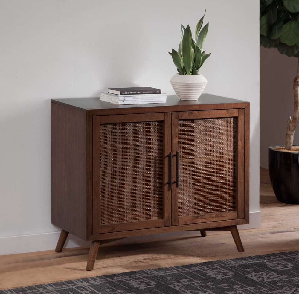 Martin Svensson Home - Classic Mid-Century Modern 2-Door Cinnamon Brown Accent Chest - 3902332 veiw 4