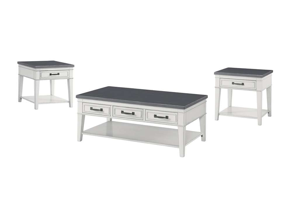Martin Svensson Home -  Del Mar 3 Drawer Coffee Table, Antique White and Grey - 810129 veiw 6