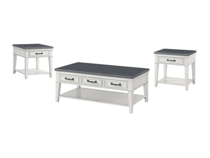Martin Svensson Home -  Del Mar 3 Drawer Coffee Table, Antique White and Grey - 810129 veiw 6