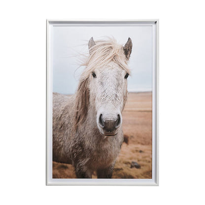 Mercana - 49822 Heida I by Laura Marshall a Framed Art Print Matted under Glass - 13078 view 1