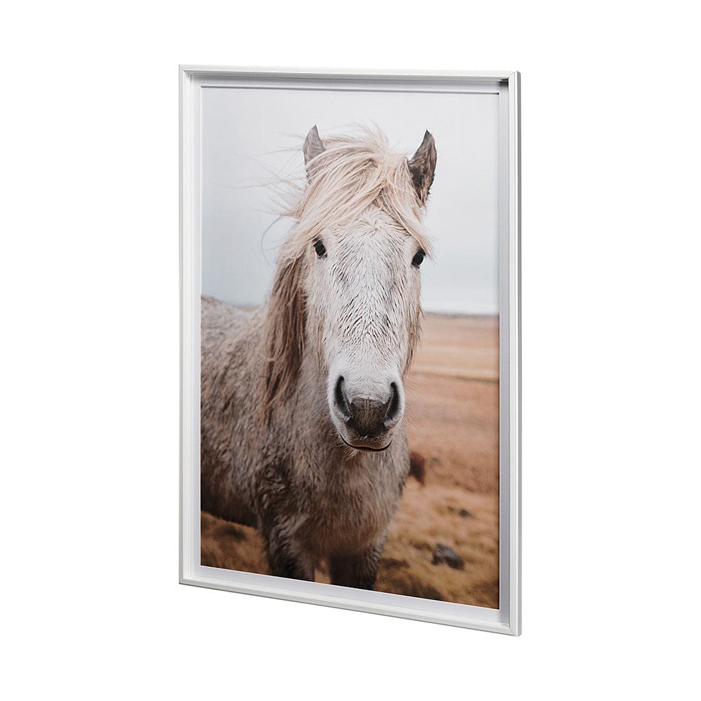 Mercana - 49822 Heida I by Laura Marshall a Framed Art Print Matted under Glass - 13078 view 4