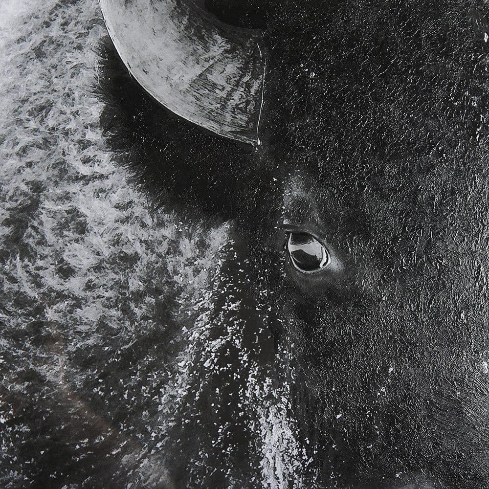 Mercana - A Struggle by Mercana Studio a Hand Embellished Textured Framed Art Print Matted under Glass - 14777 view 7