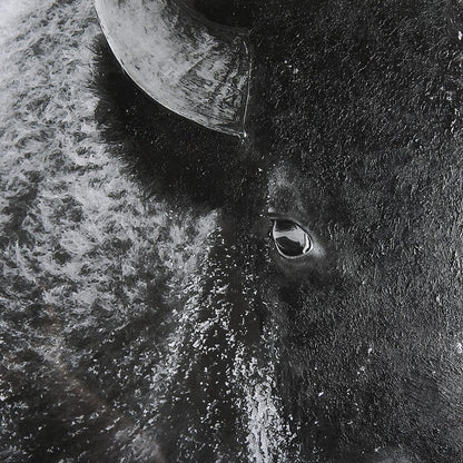 Mercana - A Struggle by Mercana Studio a Hand Embellished Textured Framed Art Print Matted under Glass - 14777 view 7