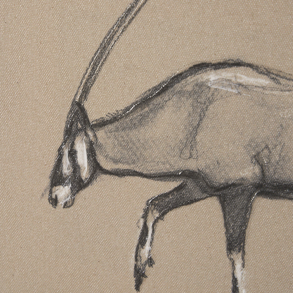 Mercana - African Animal Study II by Mercana Studio a Hand Embellished Framed Art Print - 15577 view 7