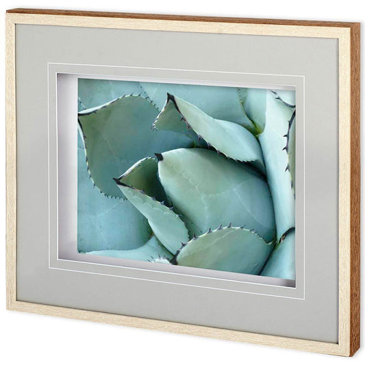 Mercana - Agave Detail I by Alison Jerry a Framed Art Print Matted under Glass - 11113 view 1