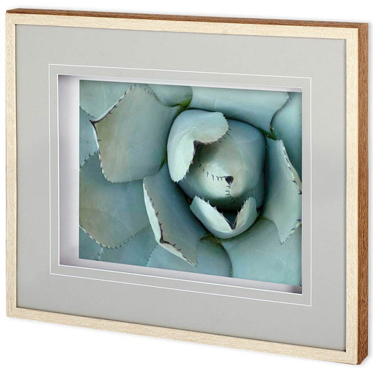 Mercana - Agave Detail II by Alison Jerry a Framed Art Print Matted under Glass - 11114 view 1