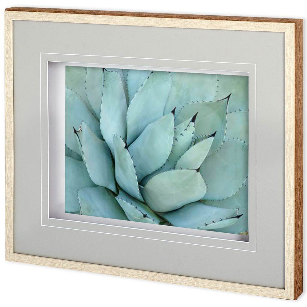Mercana - Agave Detail IV by Alison Jerry a Framed Art Print Matted under Glass - 11116 view 1