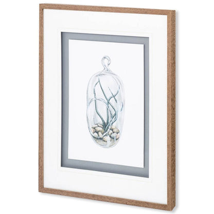 Mercana - Air Plant 1 by Harvey, Brenna a Framed Art Print Matted under Glass - 10292 view 1