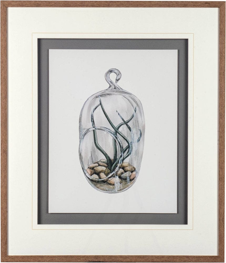 Mercana - Air Plant 1 by Harvey, Brenna a Framed Art Print Matted under Glass - 10292 view 2