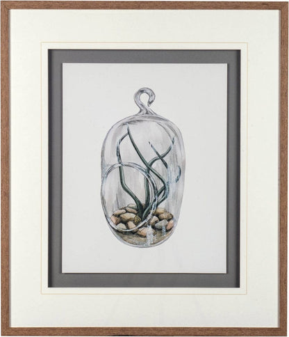 Mercana - Air Plant 1 by Harvey, Brenna a Framed Art Print Matted under Glass - 10292 view 2