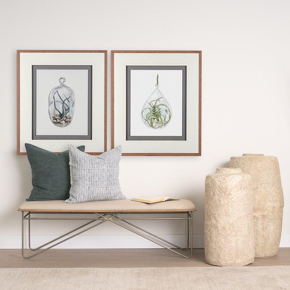 Mercana - Air Plant 1 by Harvey, Brenna a Framed Art Print Matted under Glass - 10292 view 5