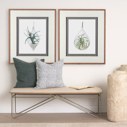 Mercana - Air Plant 2 by Harvey, Brenna a Framed Art Print Matted under Glass - 10293 view 4
