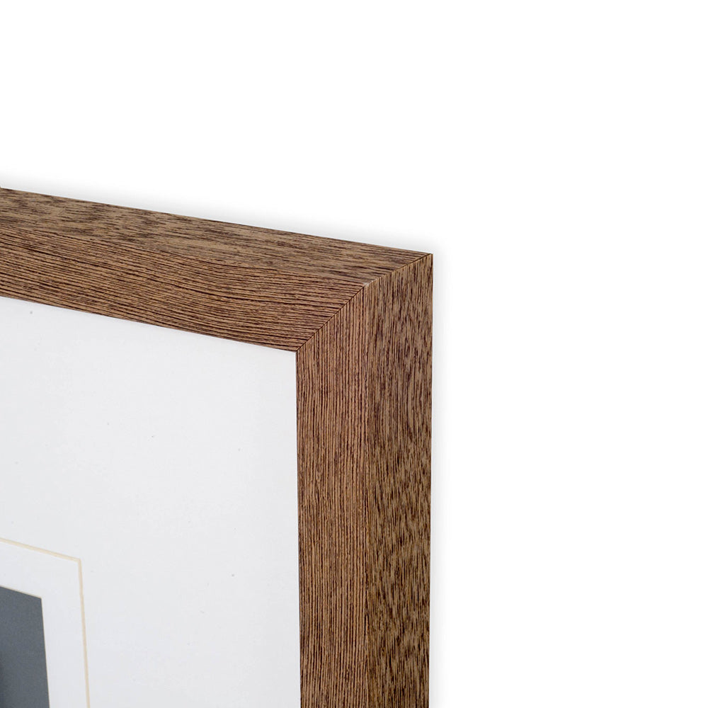 Mercana - Air Plant 3 by Harvey, Brenna a Framed Art Print Matted under Glass - 10294 view 3