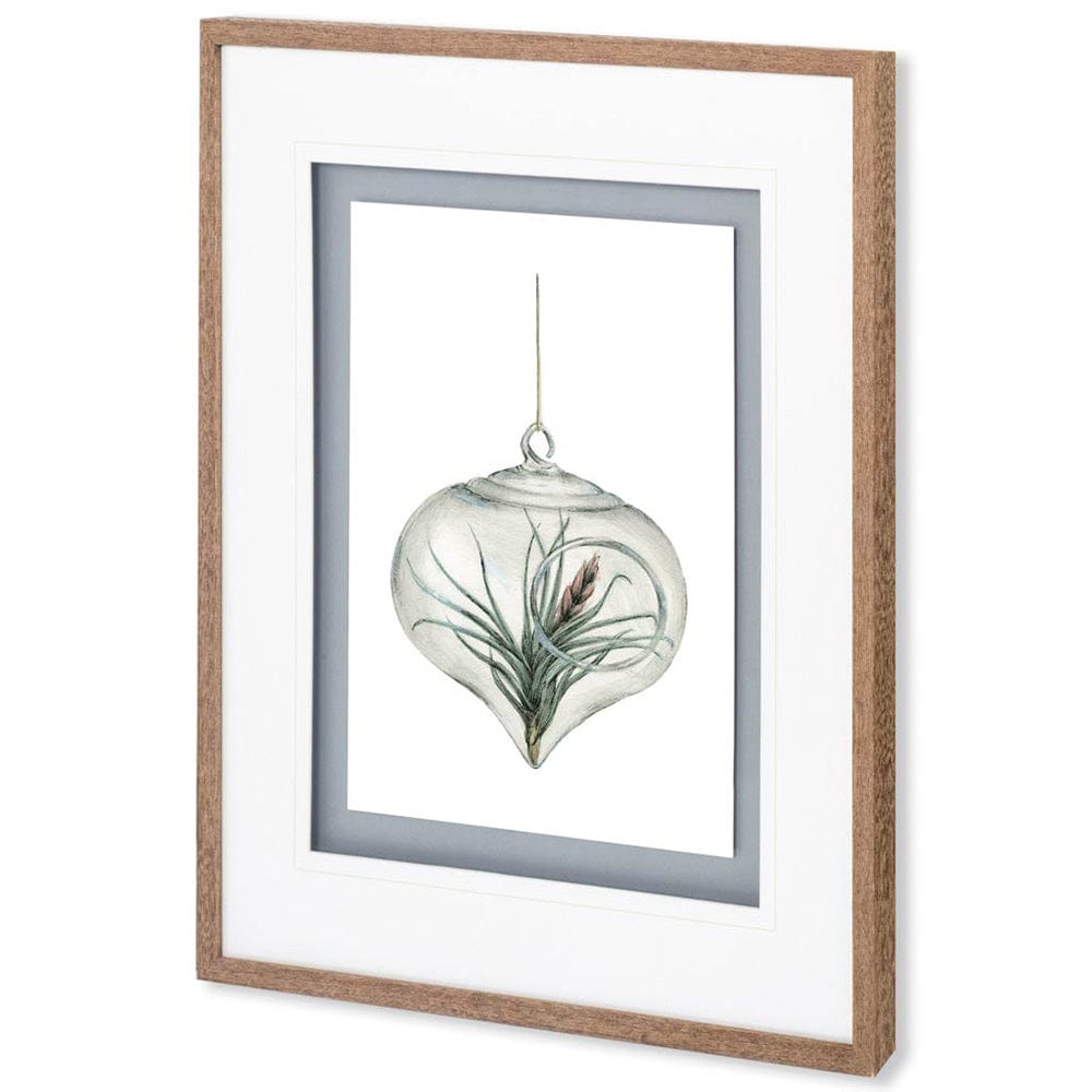 Mercana - Air Plant 4 by Harvey, Brenna a Framed Art Print Matted under Glass - 10295 view 1