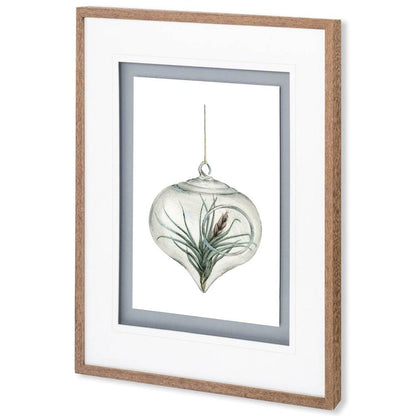 Mercana - Air Plant 4 by Harvey, Brenna a Framed Art Print Matted under Glass - 10295 view 1