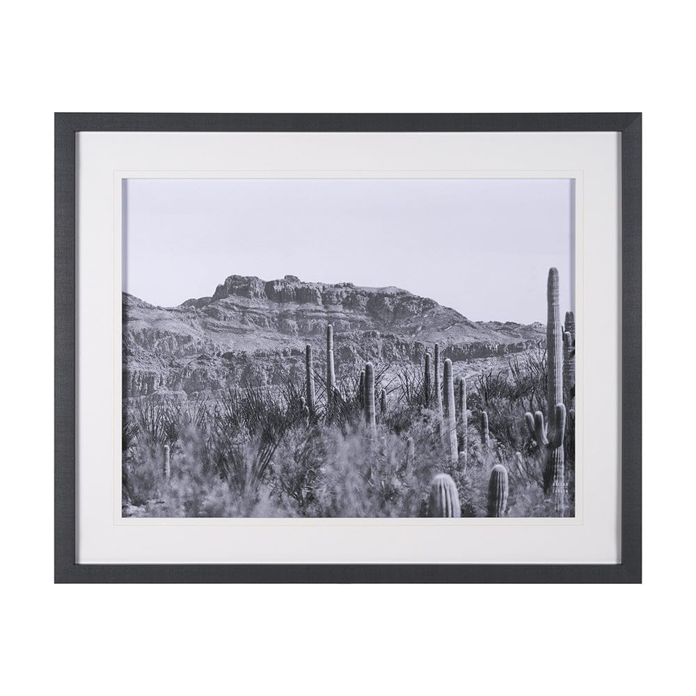 Mercana - American Borderlands by Nathan Larson Hand Embelished Textured Framed Art Print Matted under Glass - 15459 view 1