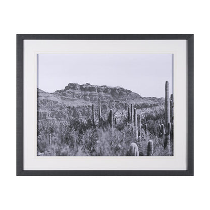 Mercana - American Borderlands by Nathan Larson Hand Embelished Textured Framed Art Print Matted under Glass - 15459 view 1