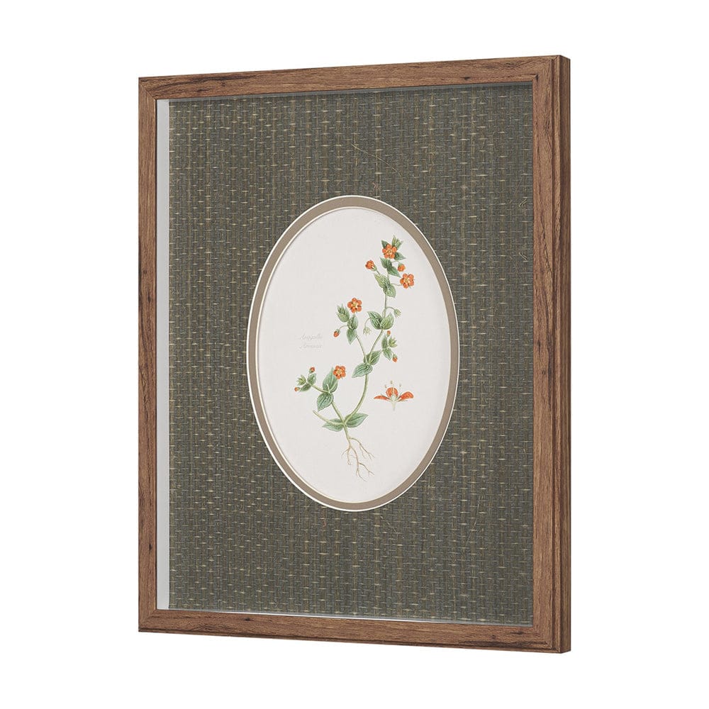 Mercana - Anagallis Arvensis Flowers by Pierre Joseph Redoute a Hand Embellished Framed Print under Glass - 15807 view 2
