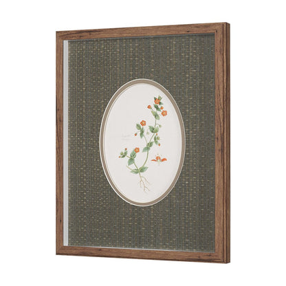 Mercana - Anagallis Arvensis Flowers by Pierre Joseph Redoute a Hand Embellished Framed Print under Glass - 15807 view 2