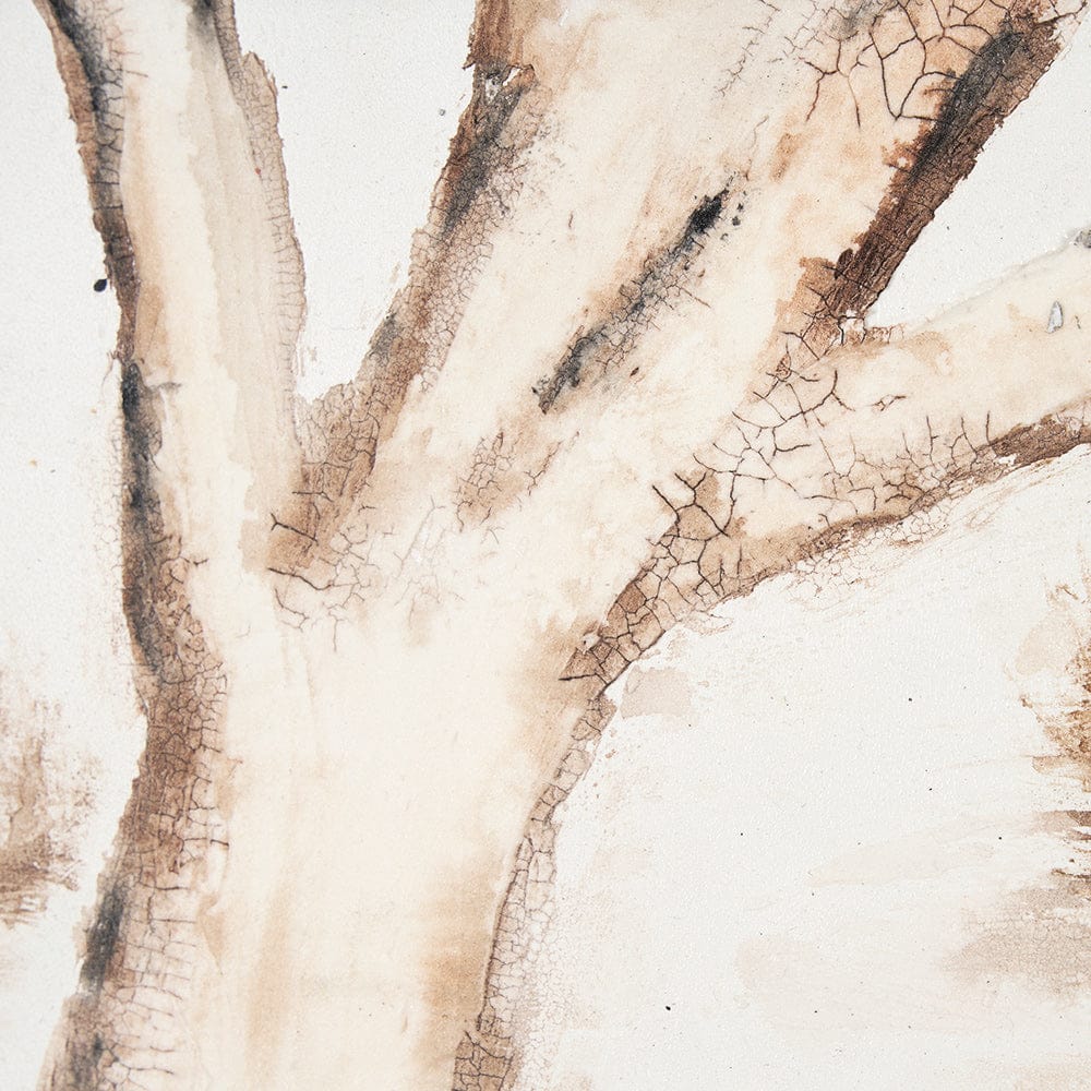 Mercana - Ancient Arbutus by Studio M a handmade Original Framed Artwork under Glass - 15105 view 7