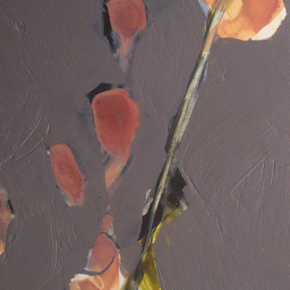 Mercana - Anemone & Coral II by Jennifer Goldberger a Framed Art Print Matted under Glass - 10364 view 4