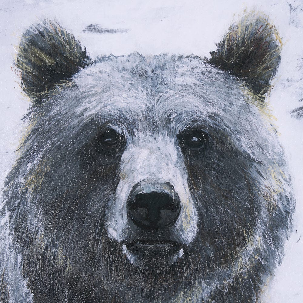 Mercana - Animal Portrait III Bear by Mercana Studio Hand Embellished Framed Art Print Matted under Glass - 14351 view 7