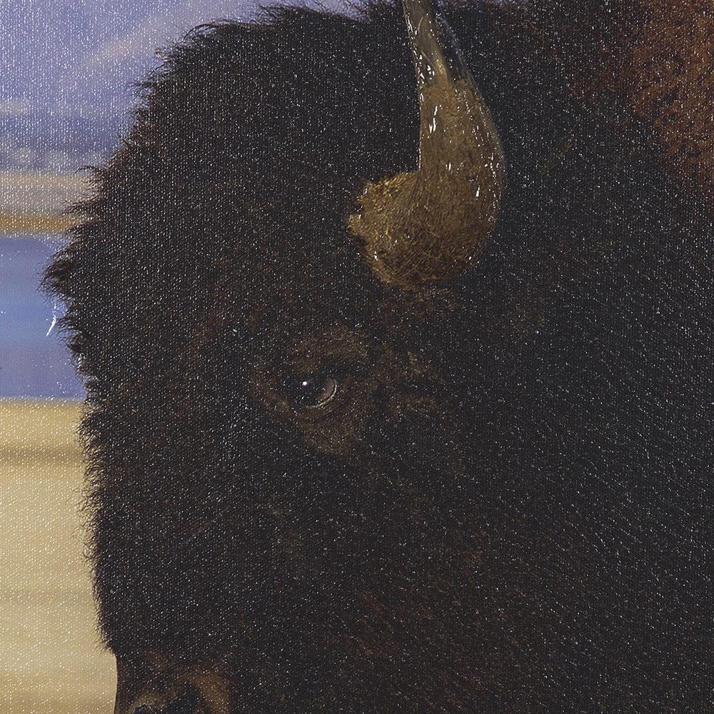 Mercana - Antelope Island by Gary Blatter a Hand Embellished Textured Framed Art Print - 15370 view 6