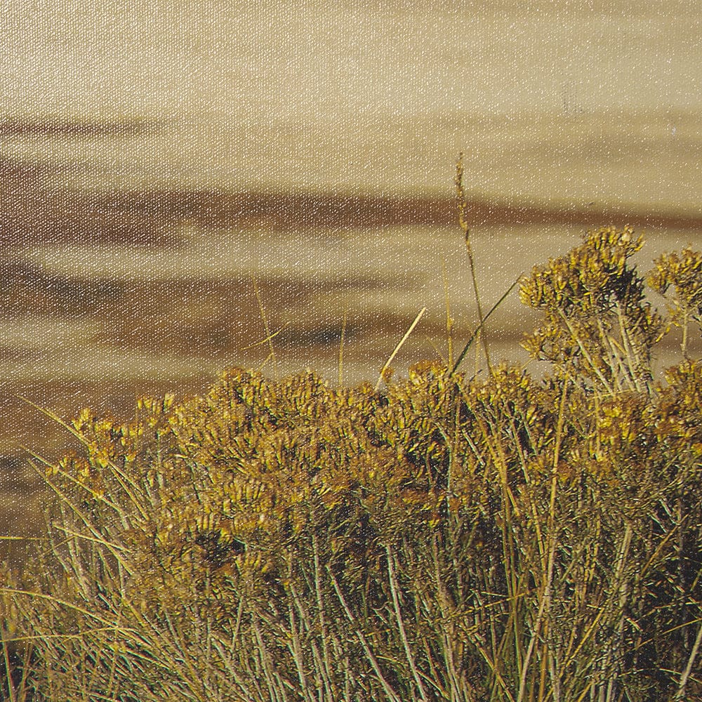 Mercana - Antelope Island by Gary Blatter a Hand Embellished Textured Framed Art Print - 15370 view 7