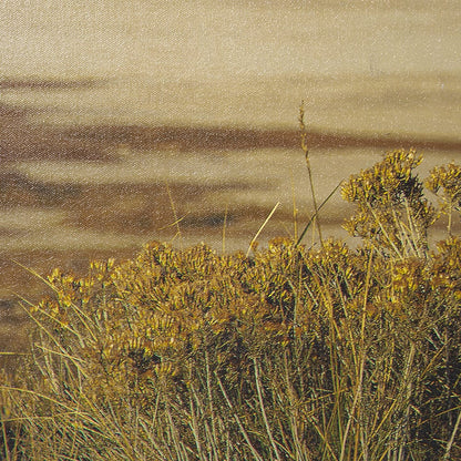 Mercana - Antelope Island by Gary Blatter a Hand Embellished Textured Framed Art Print - 15370 view 7