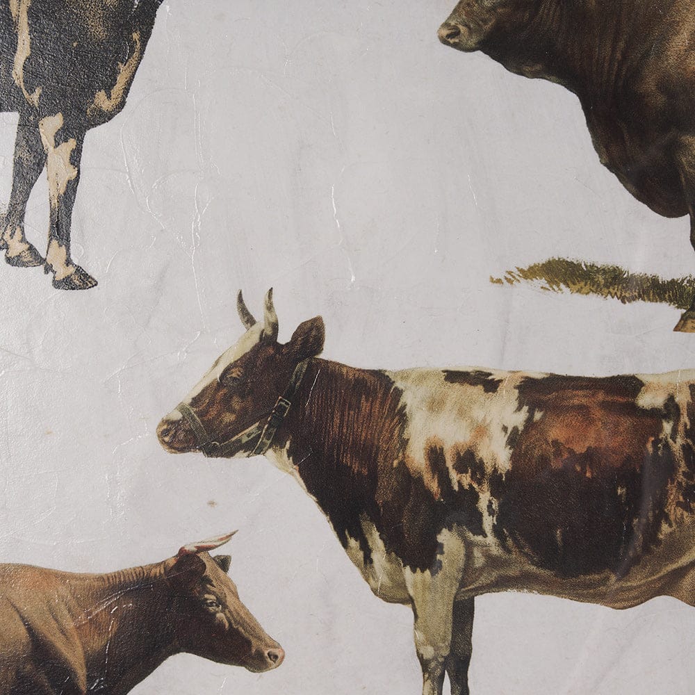 Mercana - Antique Cow Chart by Mercana Studio a Framed Art Print Matted under Glass - 10408 view 6