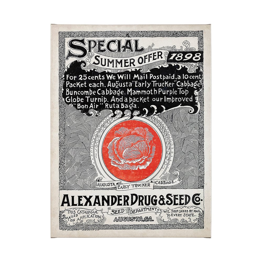 Mercana - Antique Seed Packet XIIII by Mercana Studio a Hand Embellished Textured Canvas - 101898-L view 1