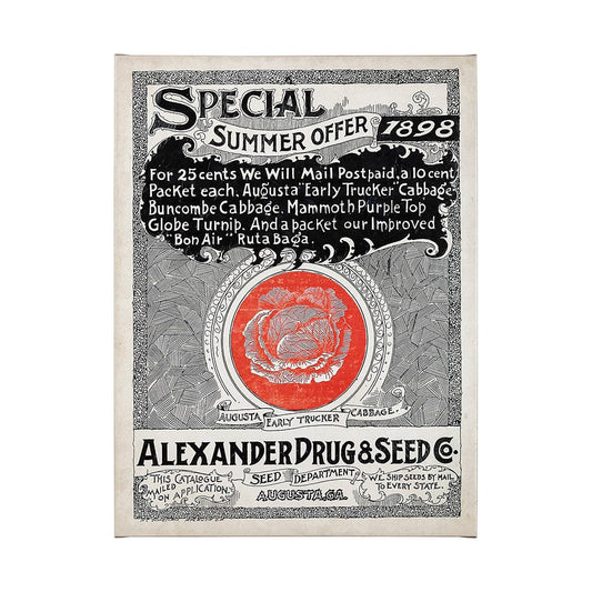 Mercana - Antique Seed Packet XIIII by Mercana Studio a Hand Embellished Textured Canvas - 101898-L view 1