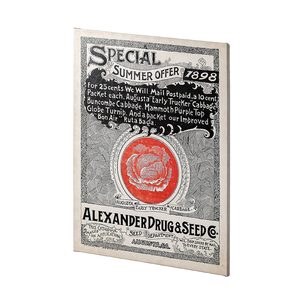 Mercana - Antique Seed Packet XIIII by Mercana Studio a Hand Embellished Textured Canvas - 101898-L view 2