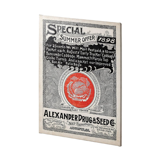 Mercana - Antique Seed Packet XIIII by Mercana Studio a Hand Embellished Textured Canvas - 101898-L view 2