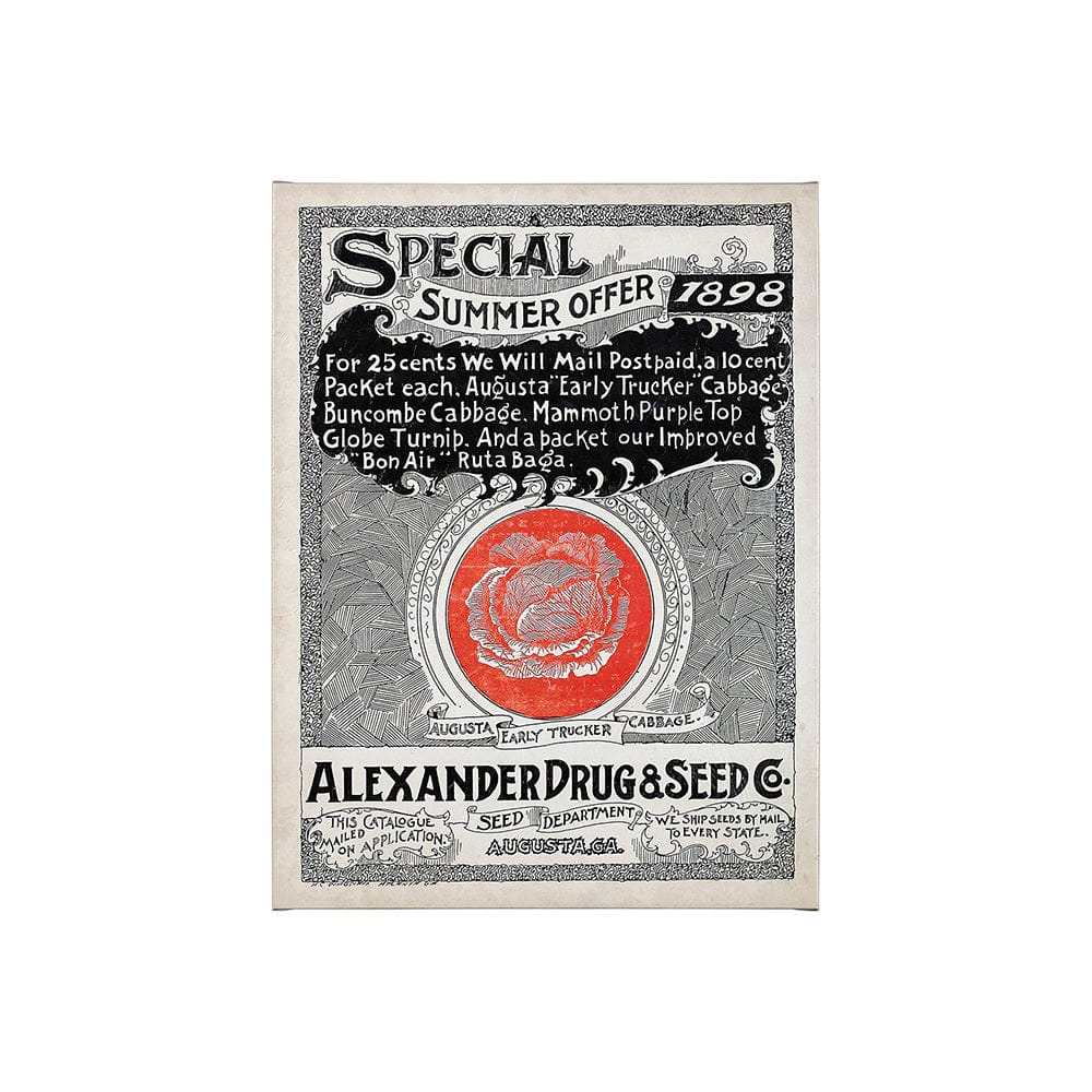 Mercana - Antique Seed Packet XIIII by Mercana Studio a Hand Embellished Textured Canvas - 101898-S view 1