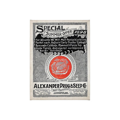 Mercana - Antique Seed Packet XIIII by Mercana Studio a Hand Embellished Textured Canvas - 101898-S view 1