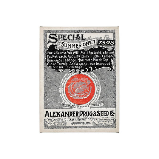 Mercana - Antique Seed Packet XIIII by Mercana Studio a Hand Embellished Textured Canvas - 101898-S view 1