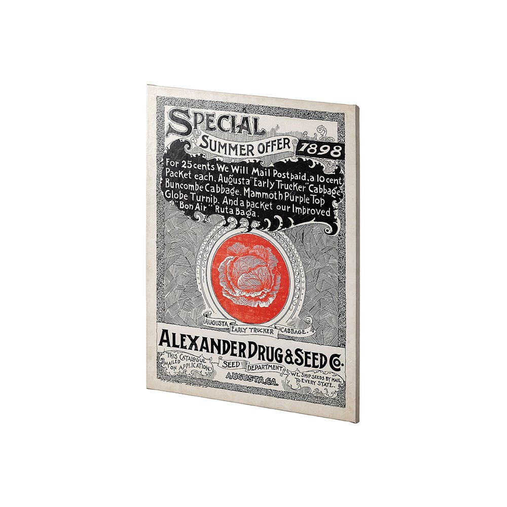 Mercana - Antique Seed Packet XIIII by Mercana Studio a Hand Embellished Textured Canvas - 101898-S view 2