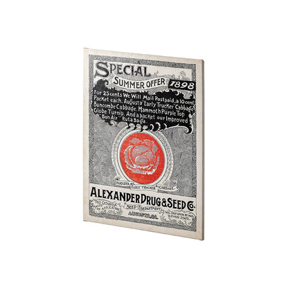 Mercana - Antique Seed Packet XIIII by Mercana Studio a Hand Embellished Textured Canvas - 101898-S view 2
