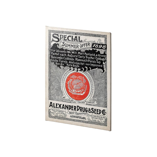 Mercana - Antique Seed Packet XIIII by Mercana Studio a Hand Embellished Textured Canvas - 101898-S view 2