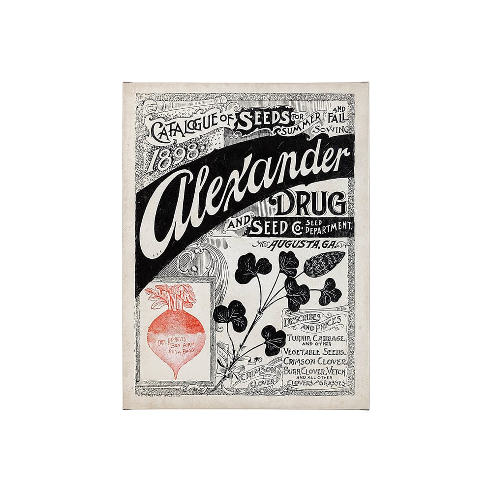 Mercana - Antique Seed Packet XIV by Mercana Studio a Hand Embellished Textured Canvas - 101899-L view 1