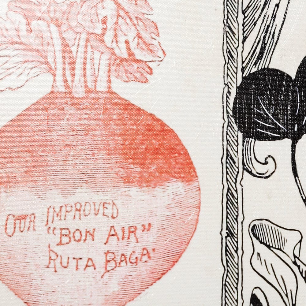 Mercana - Antique Seed Packet XIV by Mercana Studio a Hand Embellished Textured Canvas - 101899-S view 4