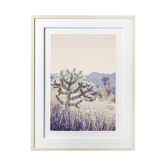 Mercana - Arid Rose by Irene Suchocki a Hand Embellished Textured Framed Art Photograph Matted under Glass - 12537 view 1