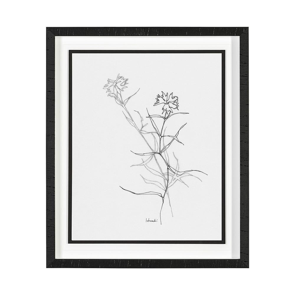 Mercana - Arrangement II by Hiraki a Framed Art Print Matted under Glass - 13450 view 1