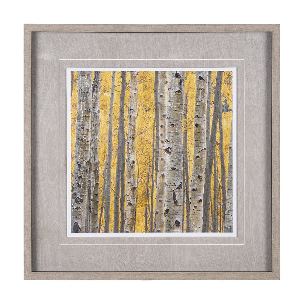 Mercana - Aspen Trees 3 by Jamie Cook a Hand Embelished Textured Framed Art Print Matted under Glass - 12962 view 1