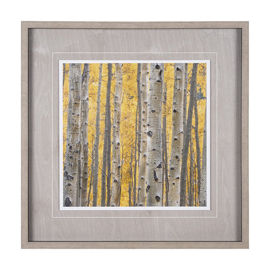 Mercana - Aspen Trees 3 by Jamie Cook a Hand Embelished Textured Framed Art Print Matted under Glass - 12962 view 1