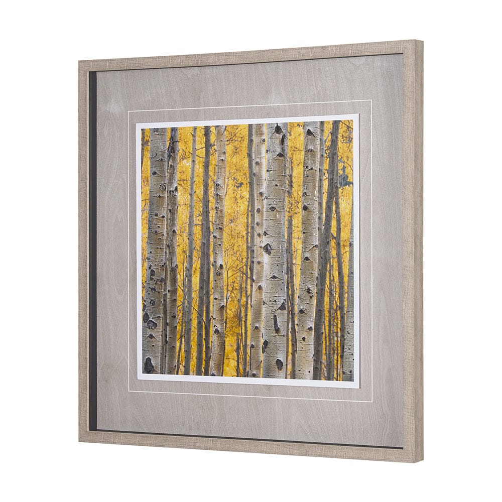 Mercana - Aspen Trees 3 by Jamie Cook a Hand Embelished Textured Framed Art Print Matted under Glass - 12962 view 2